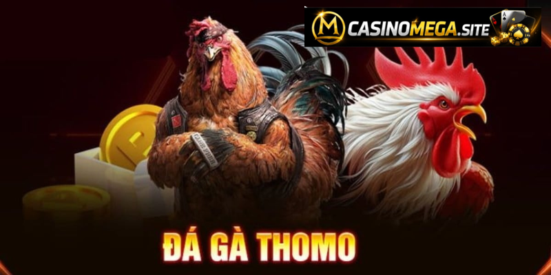 Đá Gà Thomo